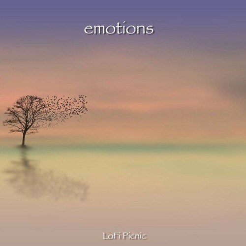 LoFi Picnic-Emotions