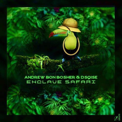 DSQISE, Andrew Bon Bosher-Enclave Safari