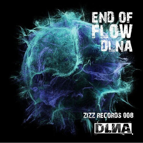 DLNA-End of Flow