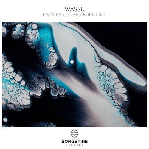 Wassu-Endless Love / Burnout