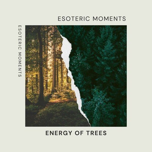 Energy of Trees