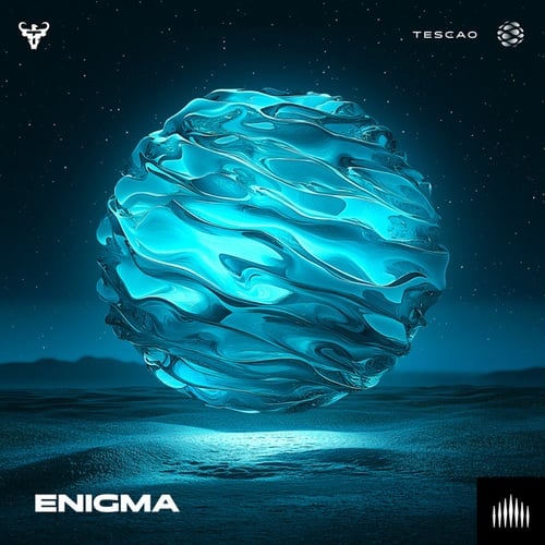 Enigma