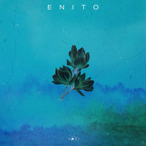 Northern Form-Enito