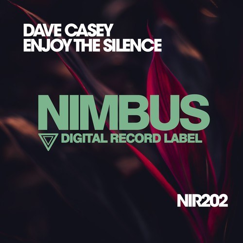 Dave Casey-Enjoy the Silence