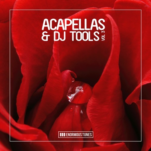 Various Artists-Enormous Tunes - Acapellas & DJ-Tools, Vol. 3