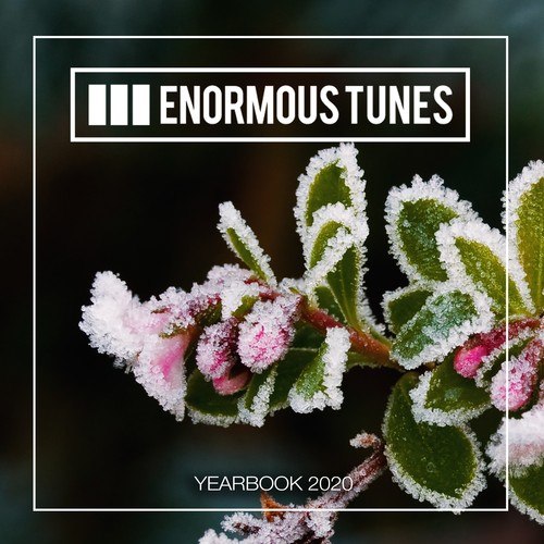 Enormous Tunes - The Yearbook 2020