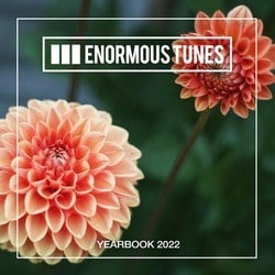 Enormous Tunes - The Yearbook 2022 - Various Artists