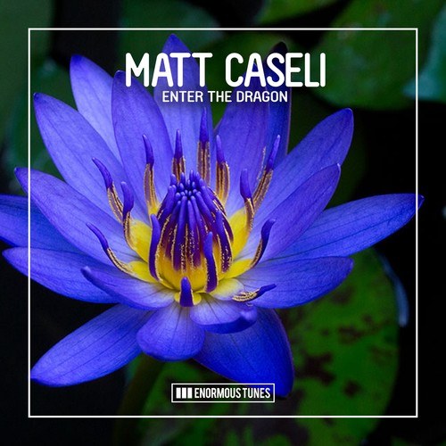 Matt Caseli-Enter the Dragon