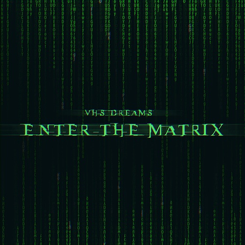 VHS Dreams-Enter The Matrix