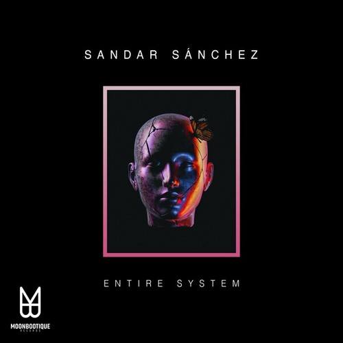 Sandar Sanchez-Entire System