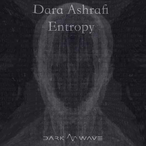 Dara Ashrafi-Entropy