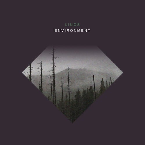 Liuos-Environment