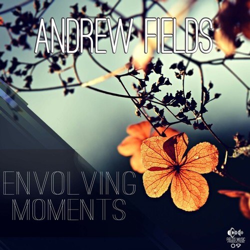 Andrew Fields-Envolving Moments