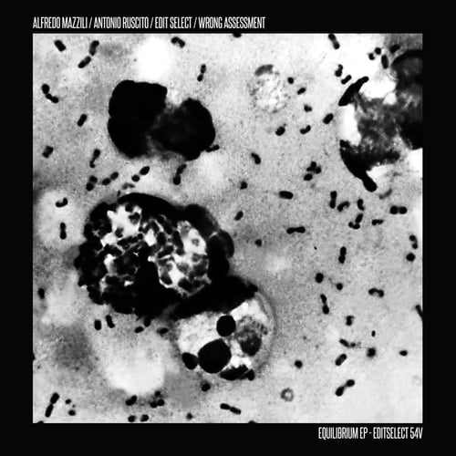 Alfredo Mazzilli, Wrong Assessment, Edit Select, Antonio Ruscito-Equilibrium EP