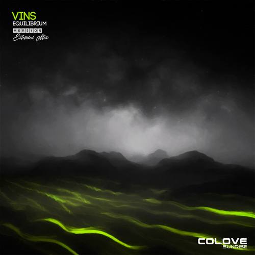 VINS-Equilibrium