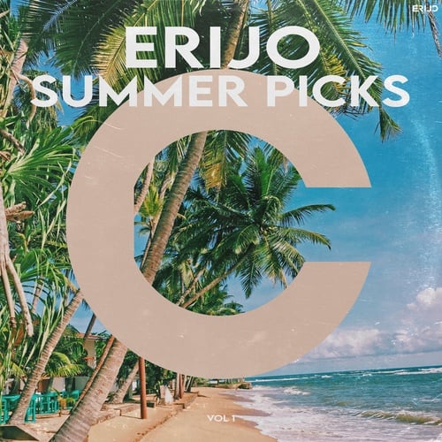 Various Artists-ERIJO Summer Picks, Vol. 1