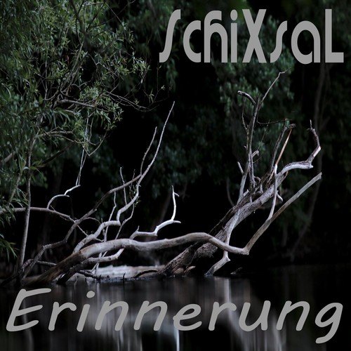 SchiXsaL-Erinnerung