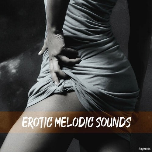 Various Artists-Erotic Melodic Sounds