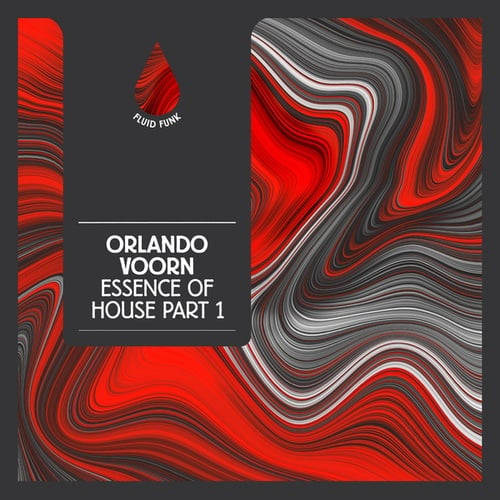 Orlando Voorn-Essence of House Part 1