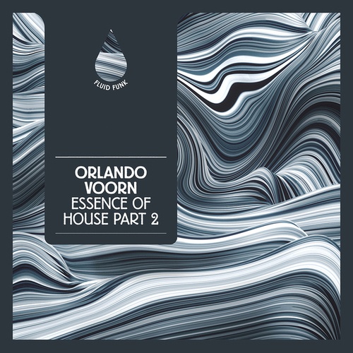 Orlando Voorn-Essence of House Part 2