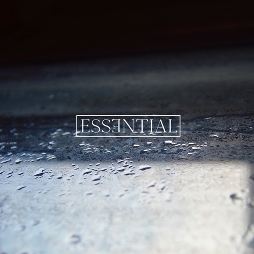 MTD-ESSENTIAL 013