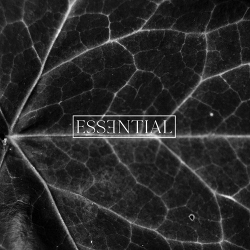 Esilum-ESSENTIAL 014