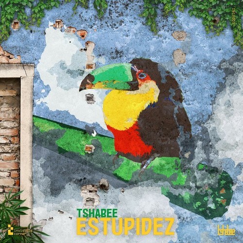 Tshabee-Estupidez