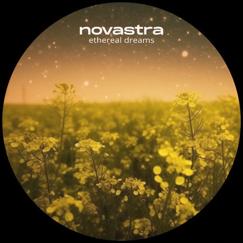 Novastra-ethereal dreams