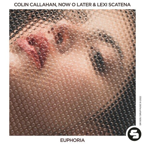 Colin Callahan, Now O Later, Lexi Scatena-Euphoria