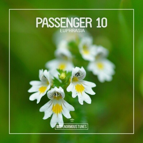 Passenger 10-Euphrasia
