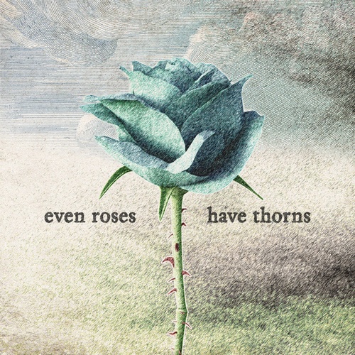Voljum-even roses have thorns