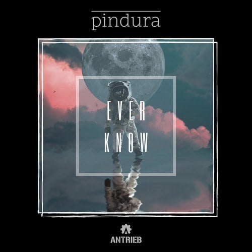 Pindura-Ever Know