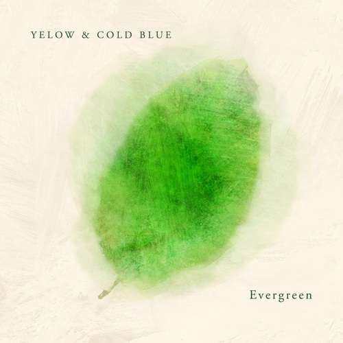 Yelow, Cold Blue-Evergreen