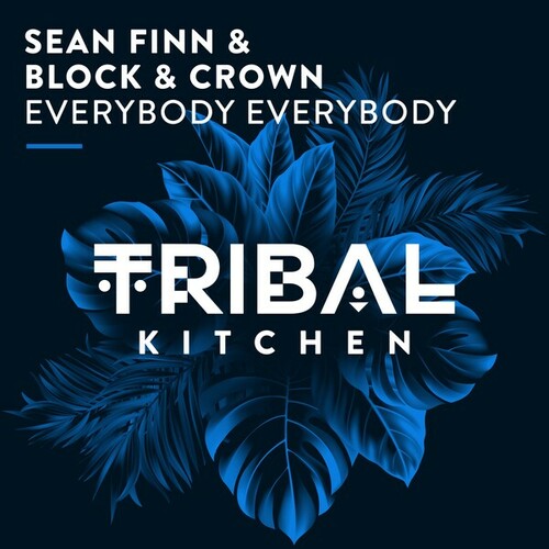 Sean Finn, Block & Crown-Everybody Everybody