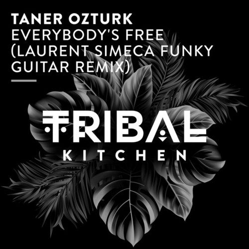 Everybody's Free (Laurent Simeca Funky Guitar Extended Remix)