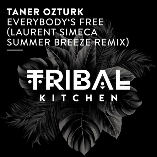 Taner Ozturk, Laurent Simeca-Everybody's Free (Laurent Simeca Summer Breeze Extended Remix)