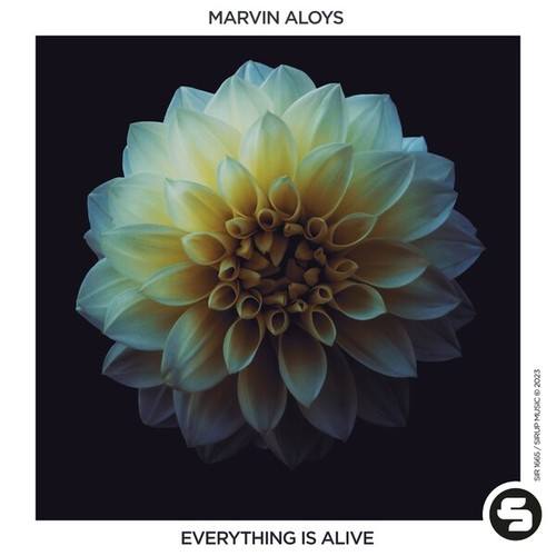 Marvin Aloys-Everything Is Alive