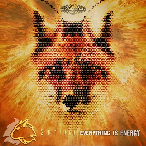 Satinka-Everything is Energy