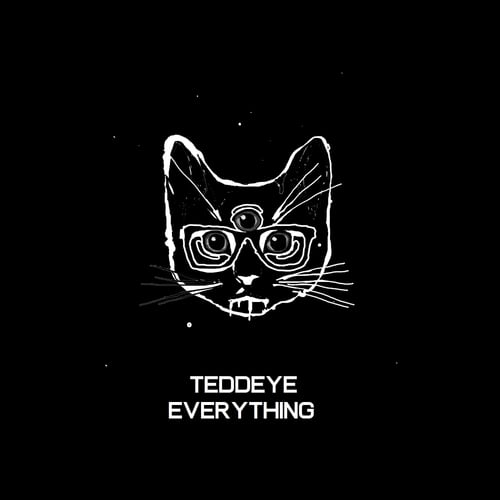 Teddeye-Everything