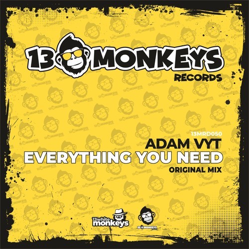Adam Vyt -Everything You Need (Radio Edit)