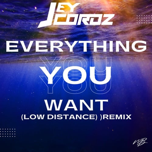Jey Cordz, Low Distance-Everything You Want