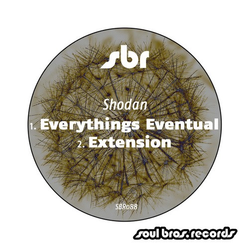 Shodan-Everythings Eventual / Extension