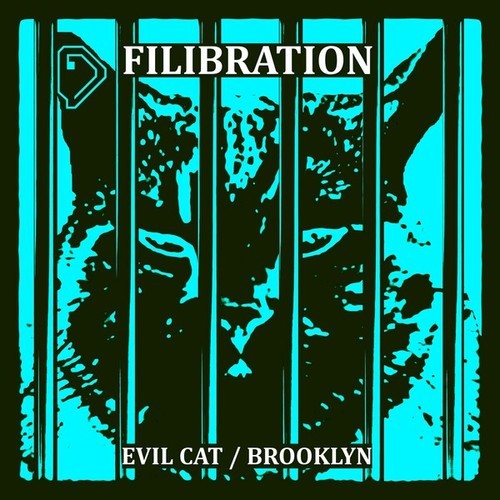 Filibration-Evil Cat