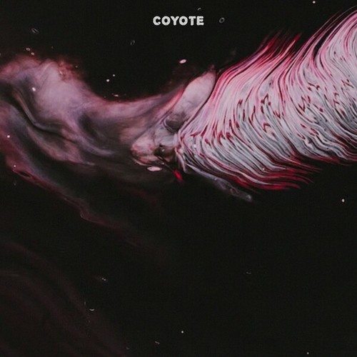 Coyote (Mx)-Evil Frame