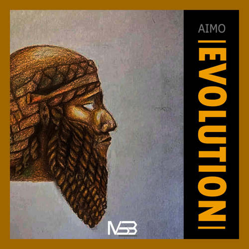 Aimo, Chaos, Tswex Malabola-Evolution