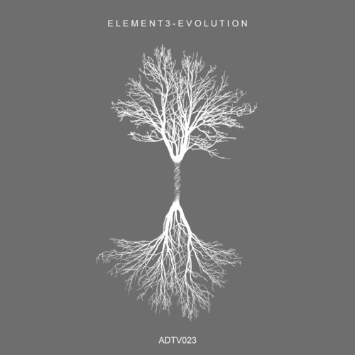 ELEMENT3, Nanokosmos-Evolution
