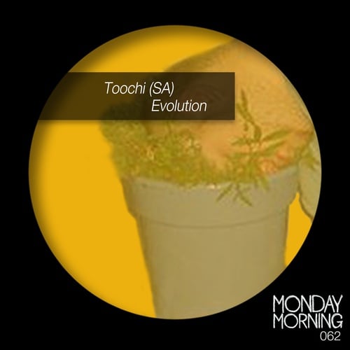 Toochi (SA)-Evolution