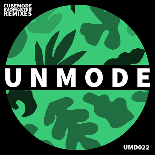 Cubemode, Levelmute, Lowsize, Phonolove-Evomaster (Remixes)