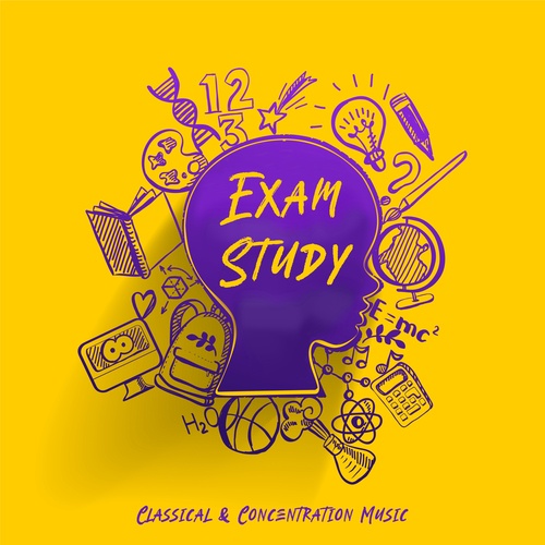 Exam Study - Classical & Concentration Music for Studying, Brain Food to Increase Brain Power & Concentration With Classical Composers