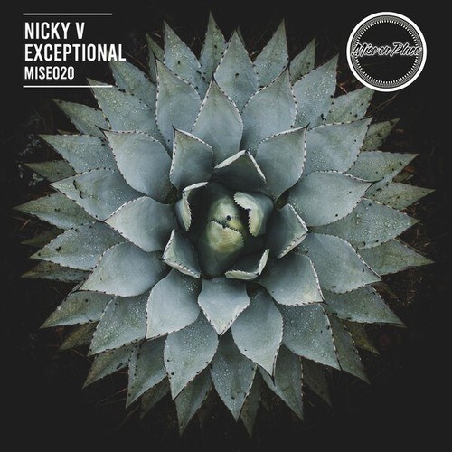 Nicky V-Exceptional